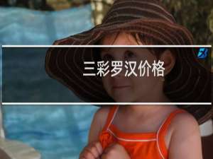 三彩罗汉价格