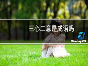 三心二意是成语吗