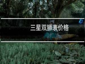 三星双狮表价格