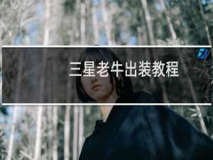 三星老牛出装教程