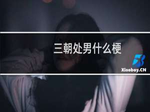三朝处男什么梗