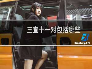 三查十一对包括哪些
