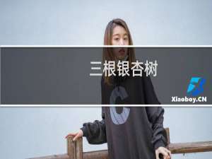 三根银杏树