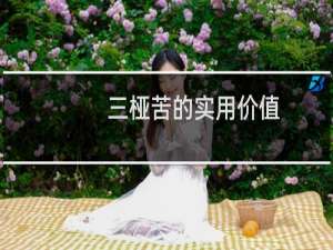 三桠苦的实用价值