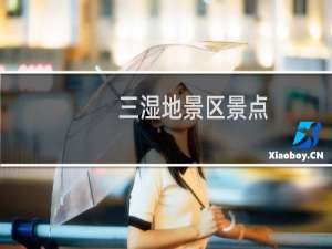 三湿地景区景点