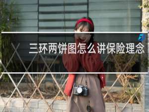 三环两饼图怎么讲保险理念