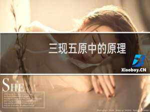 三现五原中的原理