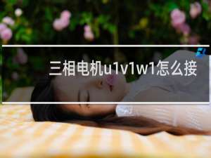三相电机u1v1w1怎么接