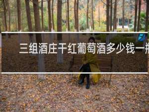 三组酒庄干红葡萄酒多少钱一瓶