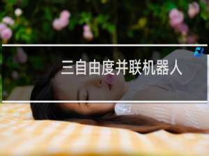 三自由度并联机器人