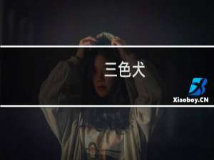 三色犬