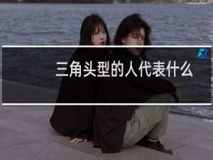 三角头型的人代表什么
