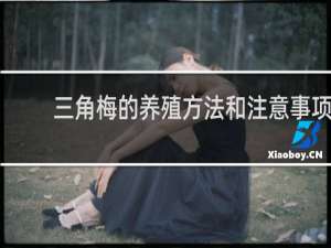 三角梅的养殖方法和注意事项