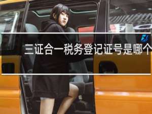 三证合一税务登记证号是哪个