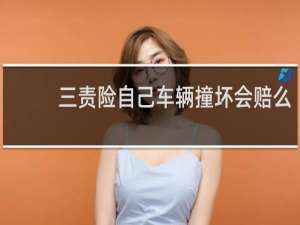 三责险自己车辆撞坏会赔么