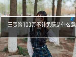 三责险100万不计免赔是什么意思