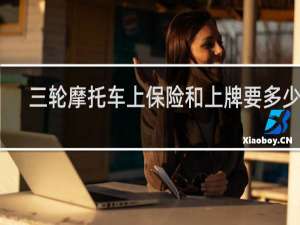 三轮摩托车上保险和上牌要多少钱