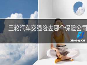 三轮汽车交强险去哪个保险公司交