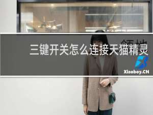 三键开关怎么连接天猫精灵