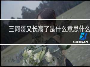 三阿哥又长高了是什么意思什么梗