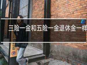 三险一金和五险一金退休金一样吗
