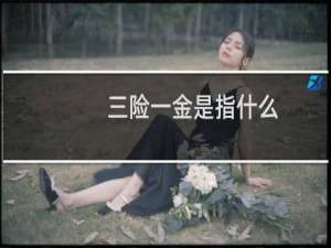 三险一金是指什么