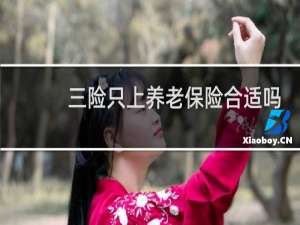 三险只上养老保险合适吗