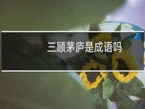 三顾茅庐是成语吗