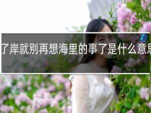 上了岸就别再想海里的事了是什么意思什么梗