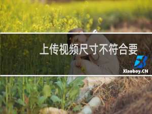 上传视频尺寸不符合要求怎么办（视频尺寸不对怎么调整）