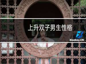 上升双子男生性格