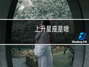 上升星座是啥