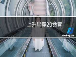 上升星座 命宫