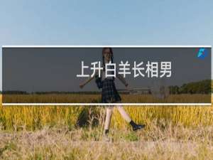 上升白羊长相男