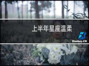 上半年星座温柔