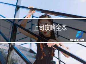 上司攻略全本