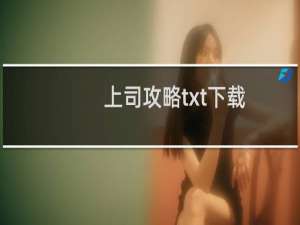 上司攻略txt下载