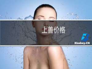 上善价格