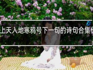 上天入地寒鸦号下一句的诗句合集什么梗