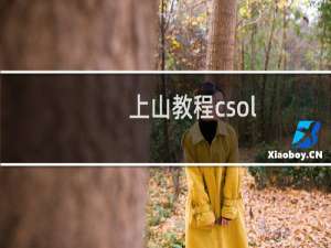 上山教程csol