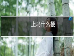 上岛什么梗