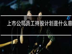 上市公司员工持股计划是什么意思
