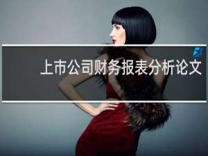上市公司财务报表分析论文