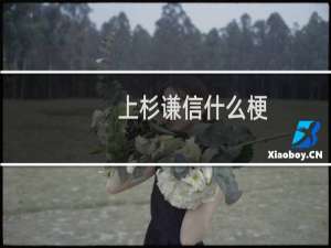 上杉谦信什么梗