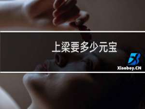 上梁要多少元宝