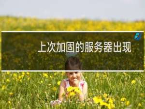 上次加固的服务器出现访问问题