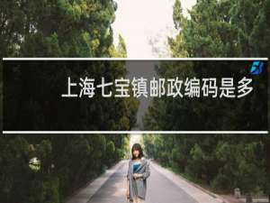 上海七宝镇邮政编码是多少