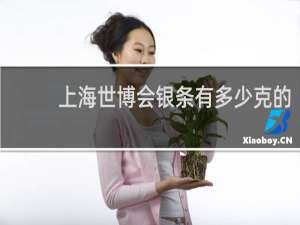 上海世博会银条有多少克的