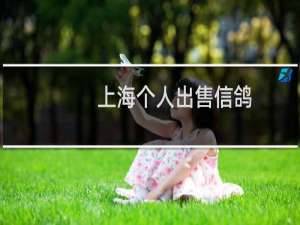 上海个人出售信鸽
