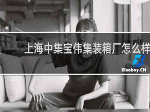 上海中集宝伟集装箱厂怎么样